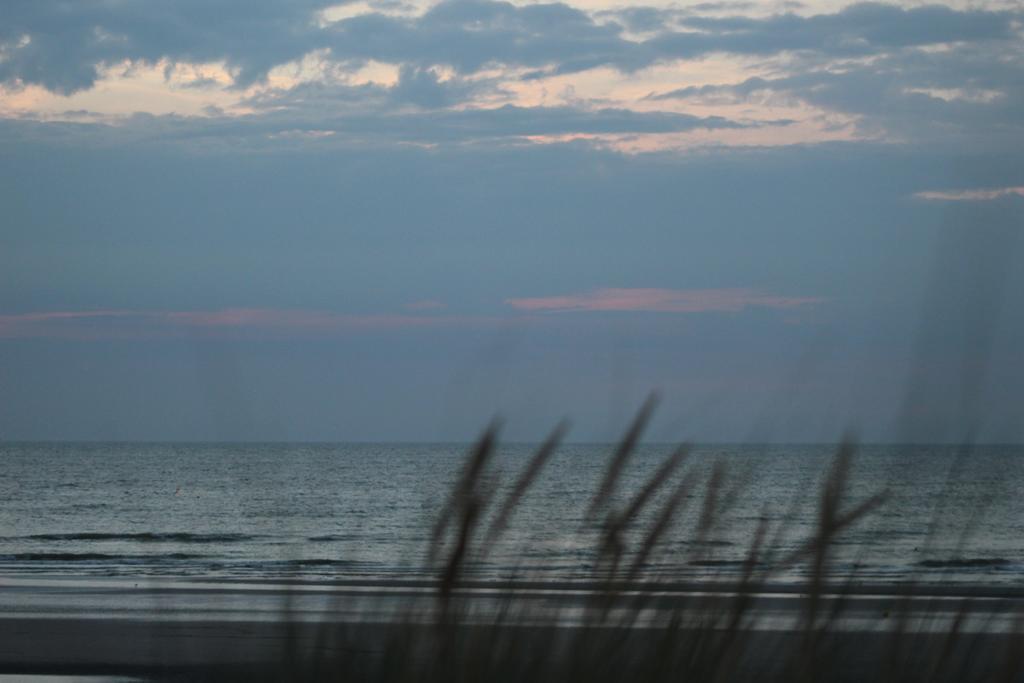 Hotel Westendia And Free Parking Top Breakfast Westende Eksteriør billede